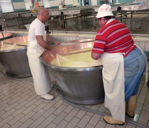 Cheesemakers pull Parmigiano Reggiano out of cauldron on the Italian Days Food Tour