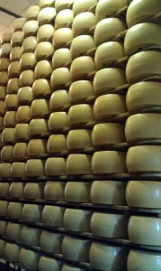 Rows of Aging Parmigiano Reggiano Explore Italian Food, Bologna Style